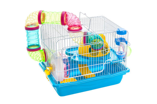 cage pour un perroquet furet - hamster cage birdcage isolated photos et images de collection