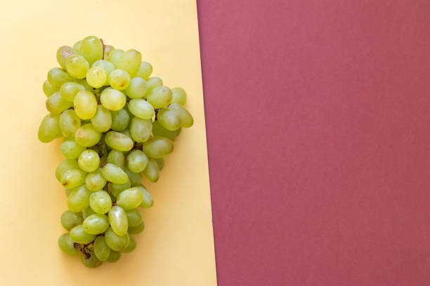 Green grape on yellow and brown background