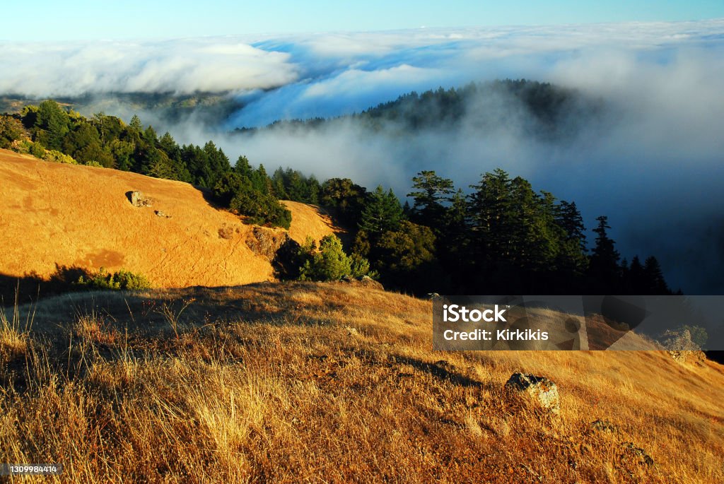 Fog in the valley Fog lingers in a valley while the hilltop bathes in the sun Northern California Stock Photo