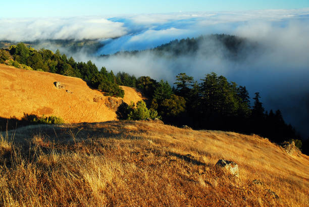 Fog in the valley Fog lingers in a valley while the hilltop bathes in the sun northern california photos stock pictures, royalty-free photos & images