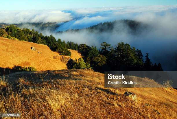 Fog In The Valley Stock Photo - Download Image Now - Northern California, Mt Tamalpais, Hill