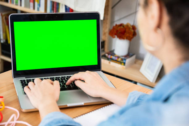 istock Woman entrepreneur using laptop while working in office, green screen 1309984426