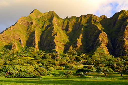 The jagged mountains of the Hawaiian Islands rise above fertile farms kualoa