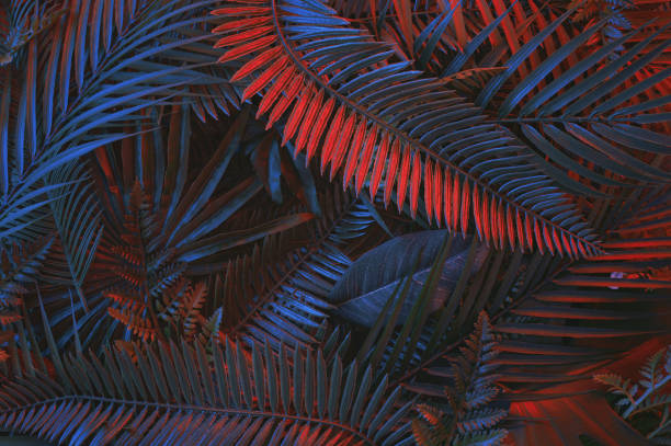 istock Tropical layout with  palm leaves in  gradient neon colors. Minimal nature flat lay. Pink and dark jungle texture. 1309985231