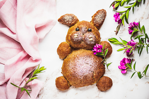 Vega Easter Bunny Cake for Children