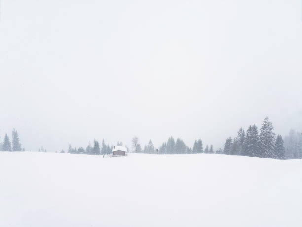 istock winter landscape with heavy snowfall, wooden hut amidst trees 1309986365