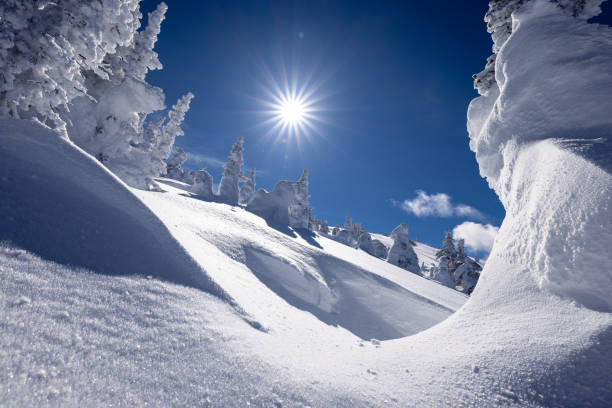 Winter landscape on a sunny day.