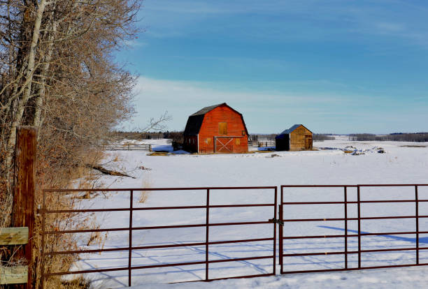 istock Red Barn On A Winter Day 1309990166