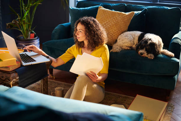 comparar el mercado - laptop women sofa internet fotografías e imágenes de stock