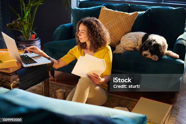 Compare The Market Stock Photo - Download Image Now - Working At Home, Telecommuting, Comparison