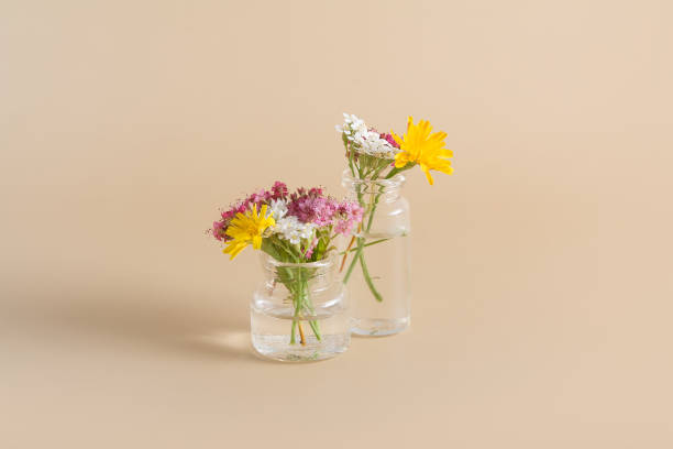 miniature glass bottles with wildflowers on a biege background. minimal concept summer, spring - cut flowers white small still life imagens e fotografias de stock