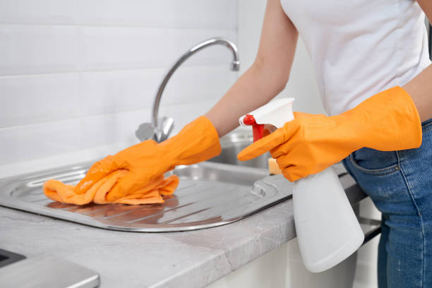 istock Woman cleaning sink with rag and detergent in kitchen. 1309993421