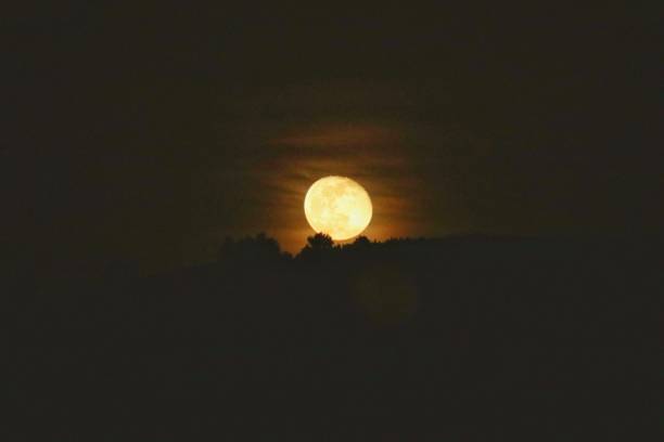 istock The magic of the moon 1309995099