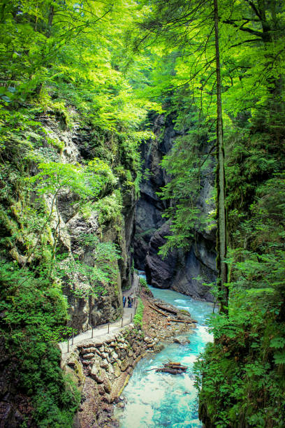 Partnachklamm in lush green Turquoise river in the gorge partnach gorge stock pictures, royalty-free photos & images