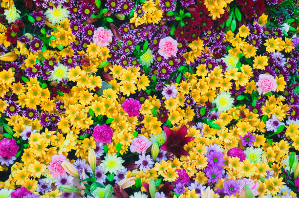 istock Summer blossoming colorful flowers wall background. Bunch of beautiful mixed flowers. Selective focus 1310003492