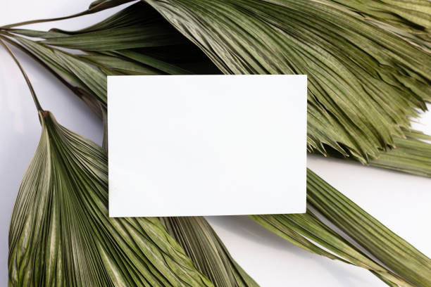 istock Blank paper on tropical palm dry leaves. 1310004304