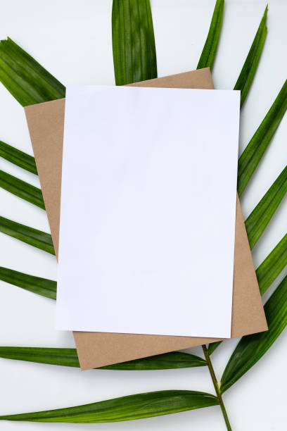 istock Blank paper on tropical palm leaves. 1310005201