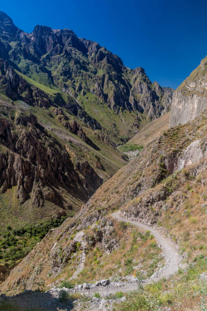 istock Steep path to Colca Canyon in Peru 1310010862