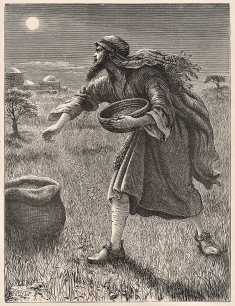 Parable of Sowing Wheat and Tares, Bible theology. A man sowing tares in a field at night showing the parable of wheat and tares. Bible theology. Christianity. Illustration published 1879. Source: Original edition is from my own archives. Copyright has expired and is in Public Domain. allegory painting stock illustrations