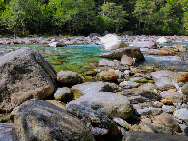 frasco - río verzasca turquesa - riverbed switzerland valley stone fotografías e imágenes de stock