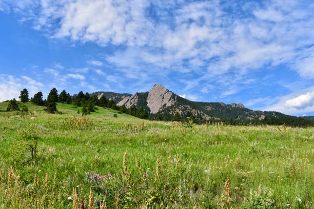 istock Flatirons from Bluebell Canyon, Chautauqua Park, Boulder, Colorado 1310015501