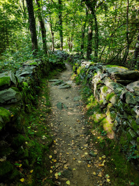 istock Dry stone wall in Dunzio, Vallemaggia, Switzerland 1310017218