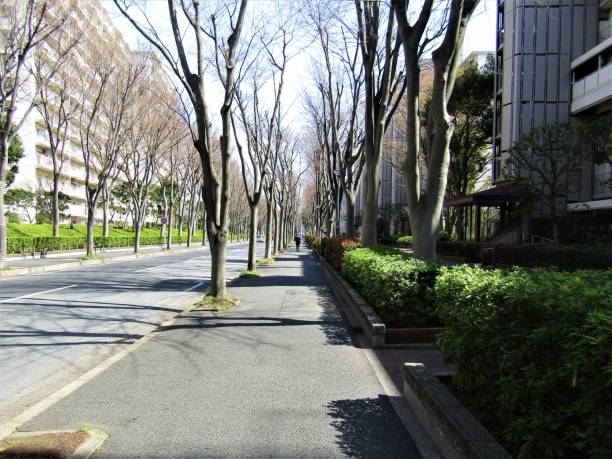 istock Japan. March. Cityscape at nice sunny day. 1310017310