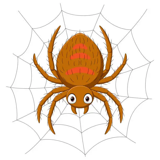 Vector illustration of Cartoon spider on the cobweb