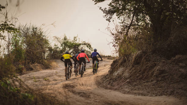 istock Group of Asian cyclists, they cycle through rural and forest roads. 1310019021