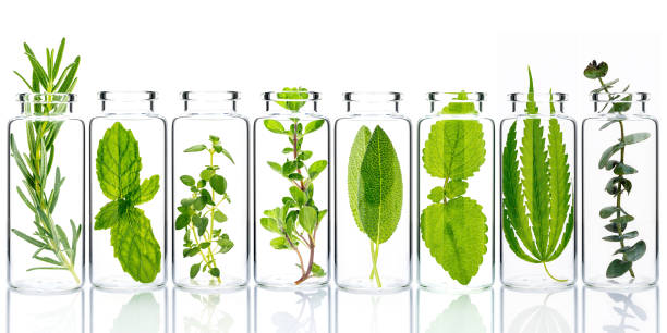 istock Bottle of essential oil with fresh herbs isolate on white background. 1310022228