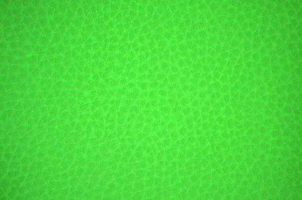 fragment de cuir naturel de vinaigrette rugueuse, colorant artificiellement, couleur lumière acidulé-vert. - leather green hide textured effect photos et images de collection