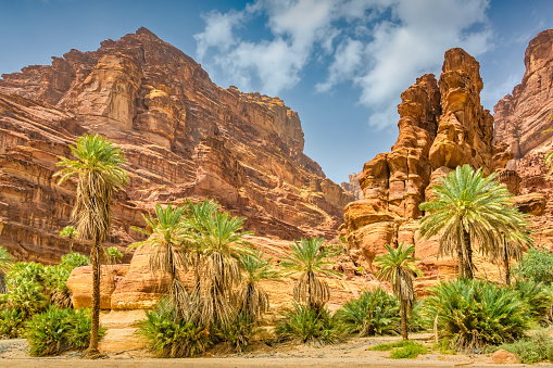 Wadi Al Disah Arabia Saudita photo