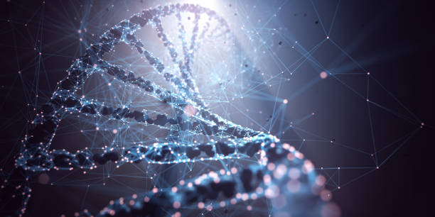 manipulación genética genética del adn de ingeniería molecular biotecnológica - adn fotos fotografías e imágenes de stock