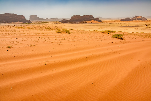 Desierto de arena naranja Provincia de Tabuk Arabia Saudita photo