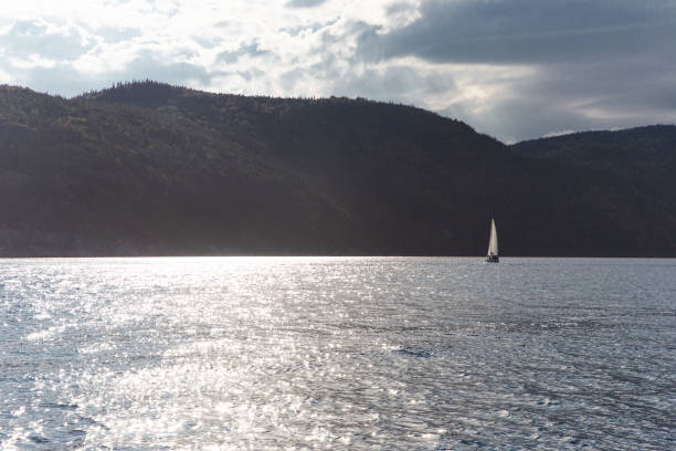 istock sunrise on a lake with a sailboat 1310027201