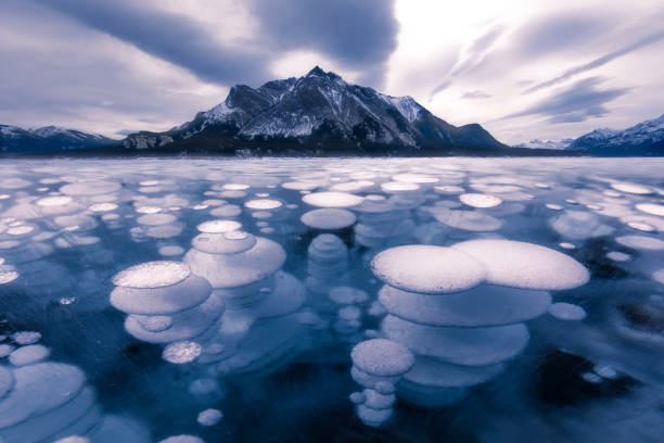 ice bubble of abraham lake - canadian beach imagens e fotografias de stock