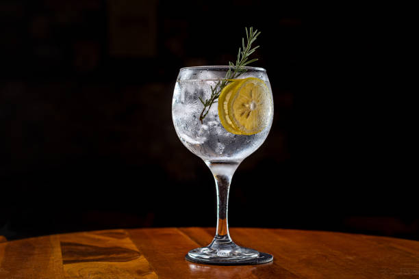 Alcoholic Drink - Gin Tonica rosemary with orange Alcoholic Drink gin stock pictures, royalty-free photos & images