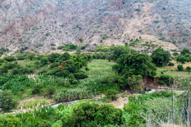 istock Green valley in northern Peru 1310031504