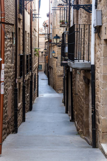 istock Laguardia village in northern Spain 1310032122