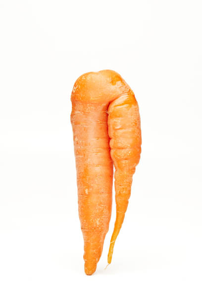 Fresh natural ugly raw carrot isolated on white background.