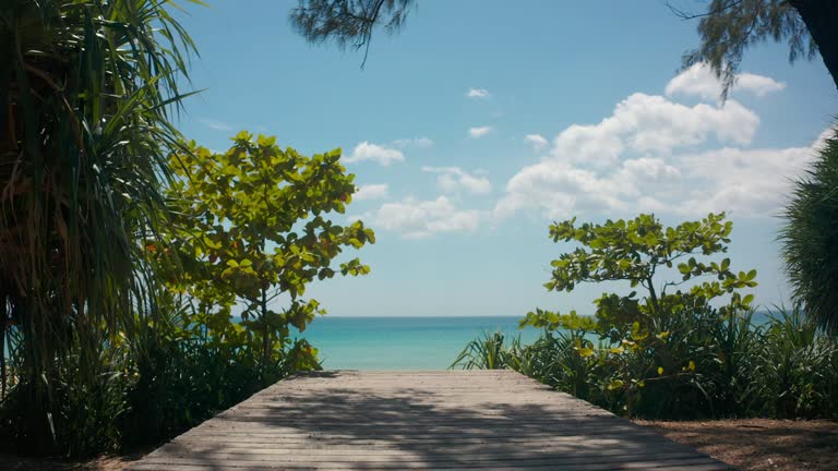 Aerial view of the wooden bridge to beautiful tropical beach with clear sky background.Resort concept.