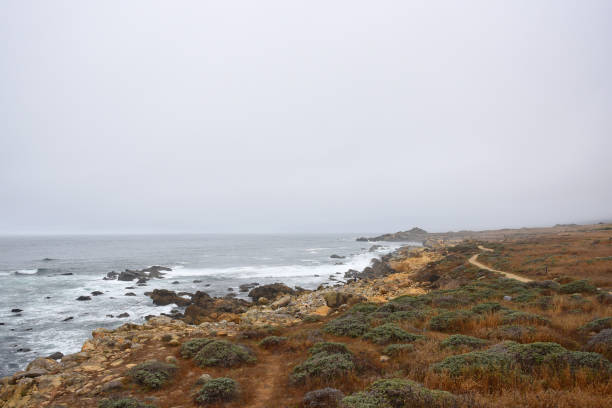 istock rocky coastline on an overcast day 1310037430
