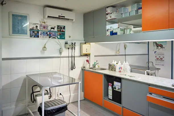 Unoccupied, clean, and well ordered room in veterinary clinic with examination table, workstation, and cabinets filled with medical supplies.