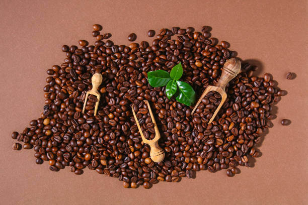 istock Roasted brown coffee beans on a brown background. 1310040437