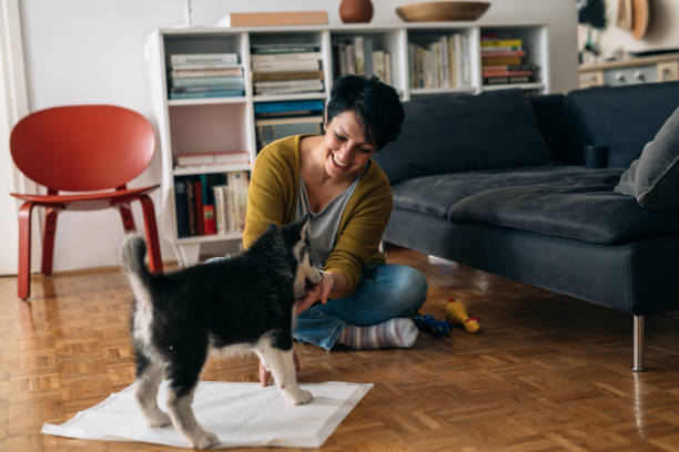 istock woman at home, playing with dog 1310041197