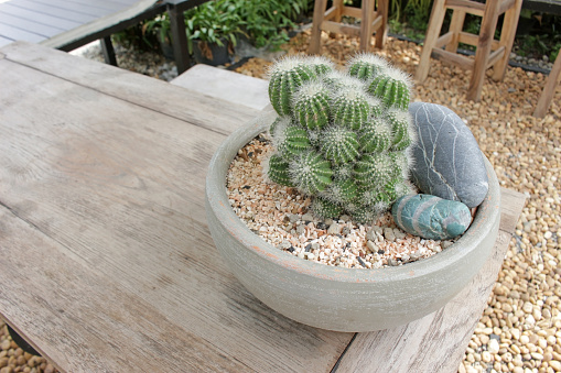 Cacti outdoors in a bowl with decorative round stones in a courtyard on a wooden breakfast bar