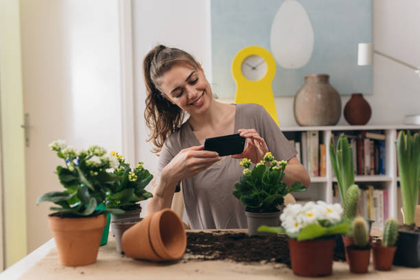 istock woman gardening at her home. 1310042089