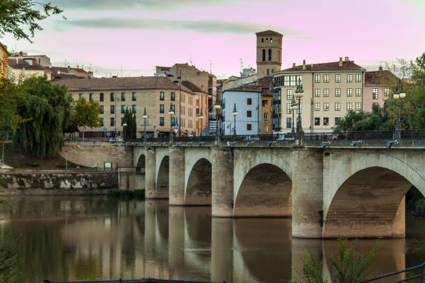 istock Stone bridge in Logrono, La Rioja region, Spain 1310043527