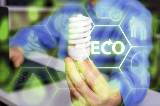istock A light bulb in your hands and an ecology icon. 1310044058