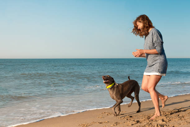 Barefoot woman on the sand at the seashore playing with her dog on a summer day